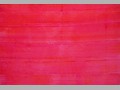 Senza titolo, 2002, acrilico su tela, cm 65x95