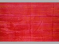 036 Senza titolo, 2002, acrilico su tela, cm 65x95 
